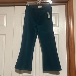 Pilcro petite small corduroy pull on pants